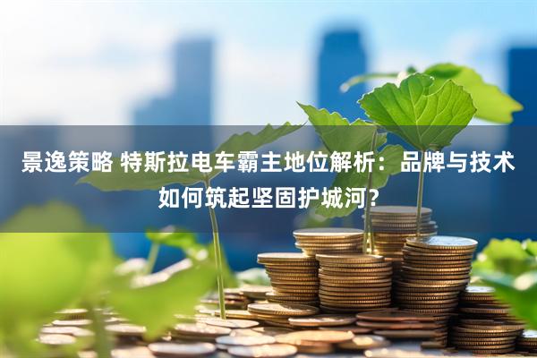 景逸策略 特斯拉电车霸主地位解析：品牌与技术如何筑起坚固护城河？