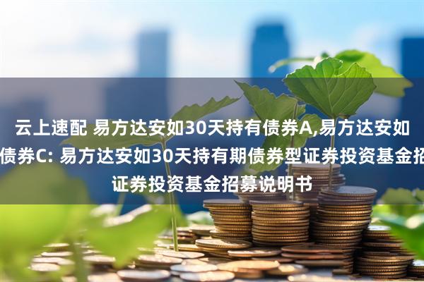 云上速配 易方达安如30天持有债券A,易方达安如30天持有债券C: 易方达安如30天持有期债券型证券投资基金招募说明书