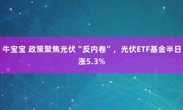 牛宝宝 政策聚焦光伏“反内卷”，光伏ETF基金半日涨5.3%