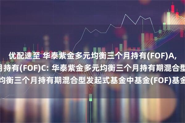优配速至 华泰紫金多元均衡三个月持有(FOF)A,华泰紫金多元均衡三个月持有(FOF)C: 华泰紫金多元均衡三个月持有期混合型发起式基金中基金(FOF)基金合同