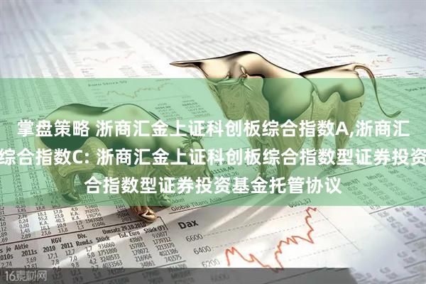 掌盘策略 浙商汇金上证科创板综合指数A,浙商汇金上证科创板综合指数C: 浙商汇金上证科创板综合指数型证券投资基金托管协议