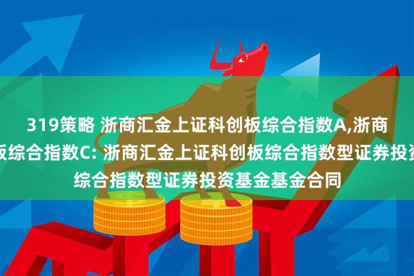 319策略 浙商汇金上证科创板综合指数A,浙商汇金上证科创板综合指数C: 浙商汇金上证科创板综合指数型证券投资基金基金合同