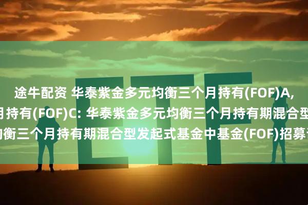 途牛配资 华泰紫金多元均衡三个月持有(FOF)A,华泰紫金多元均衡三个月持有(FOF)C: 华泰紫金多元均衡三个月持有期混合型发起式基金中基金(FOF)招募说明书