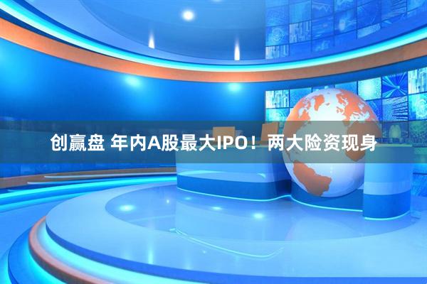 创赢盘 年内A股最大IPO！两大险资现身