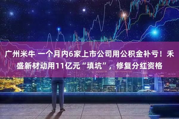 广州米牛 一个月内6家上市公司用公积金补亏！禾盛新材动用11亿元“填坑”，修复分红资格
