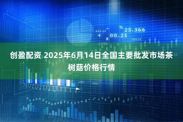 创盈配资 2025年6月14日全国主要批发市场茶树菇价格行情