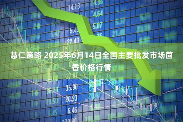慧仁策略 2025年6月14日全国主要批发市场茴香价格行情