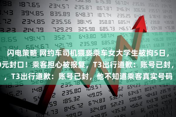 闪电策略 网约车司机猥亵乘车女大学生被拘5日,当事人:平台想用3000元封口!乘客担心被报复,T3出行道歉:账号已封,他不知道乘客真实号码
