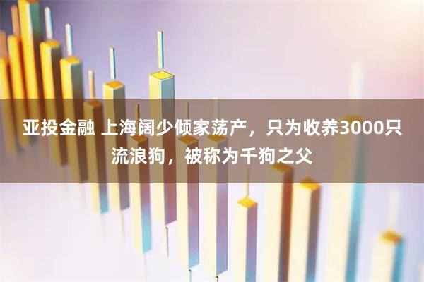 亚投金融 上海阔少倾家荡产，只为收养3000只流浪狗，被称为千狗之父